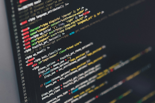 Webentwicklung von Expert:innen